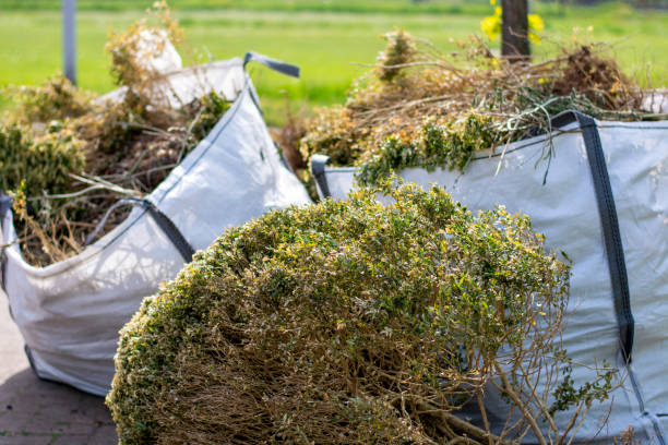 Best Yard Cleanup Services  in Enterprise, UT